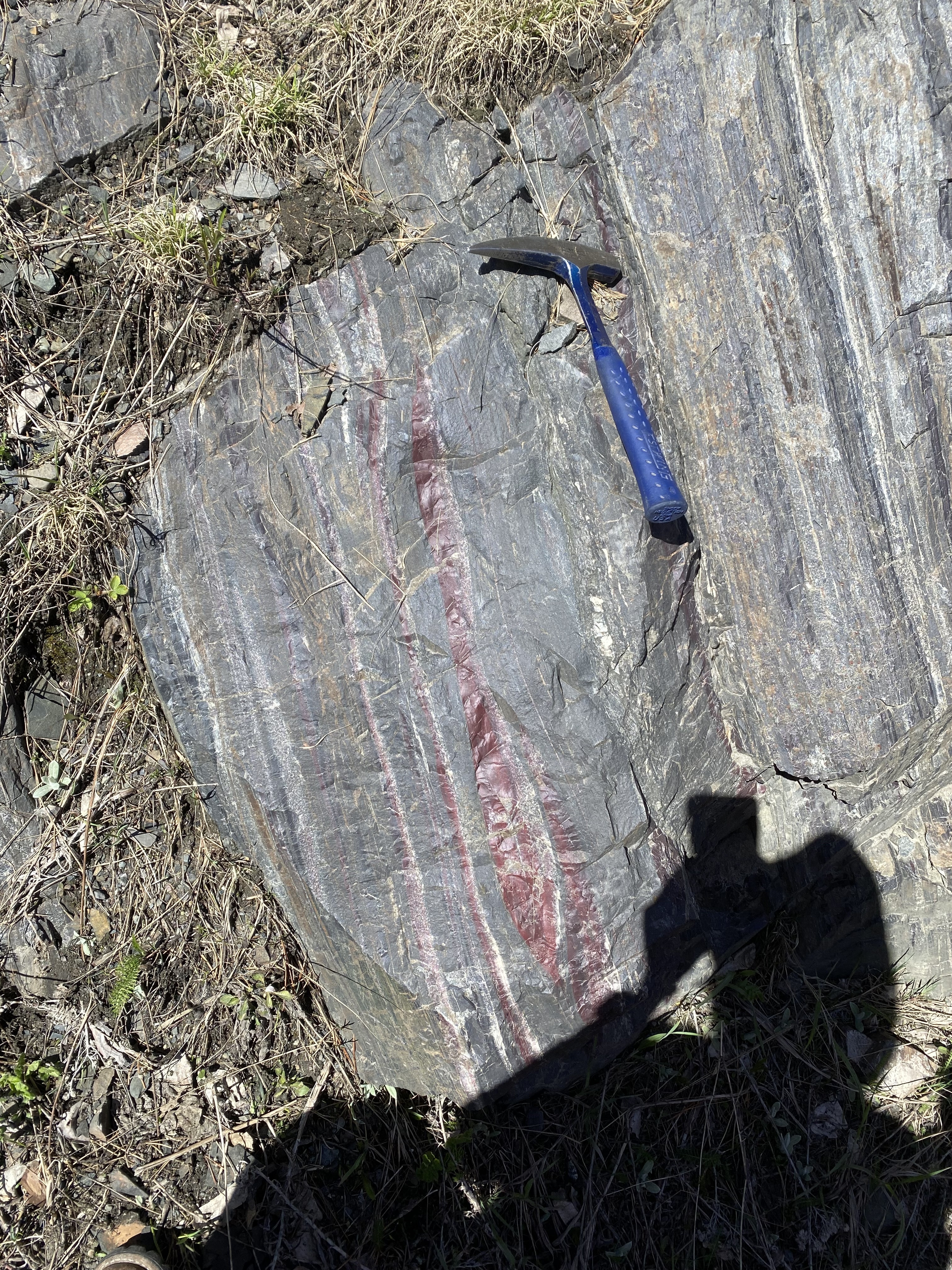 Image of a rock containing pyrite