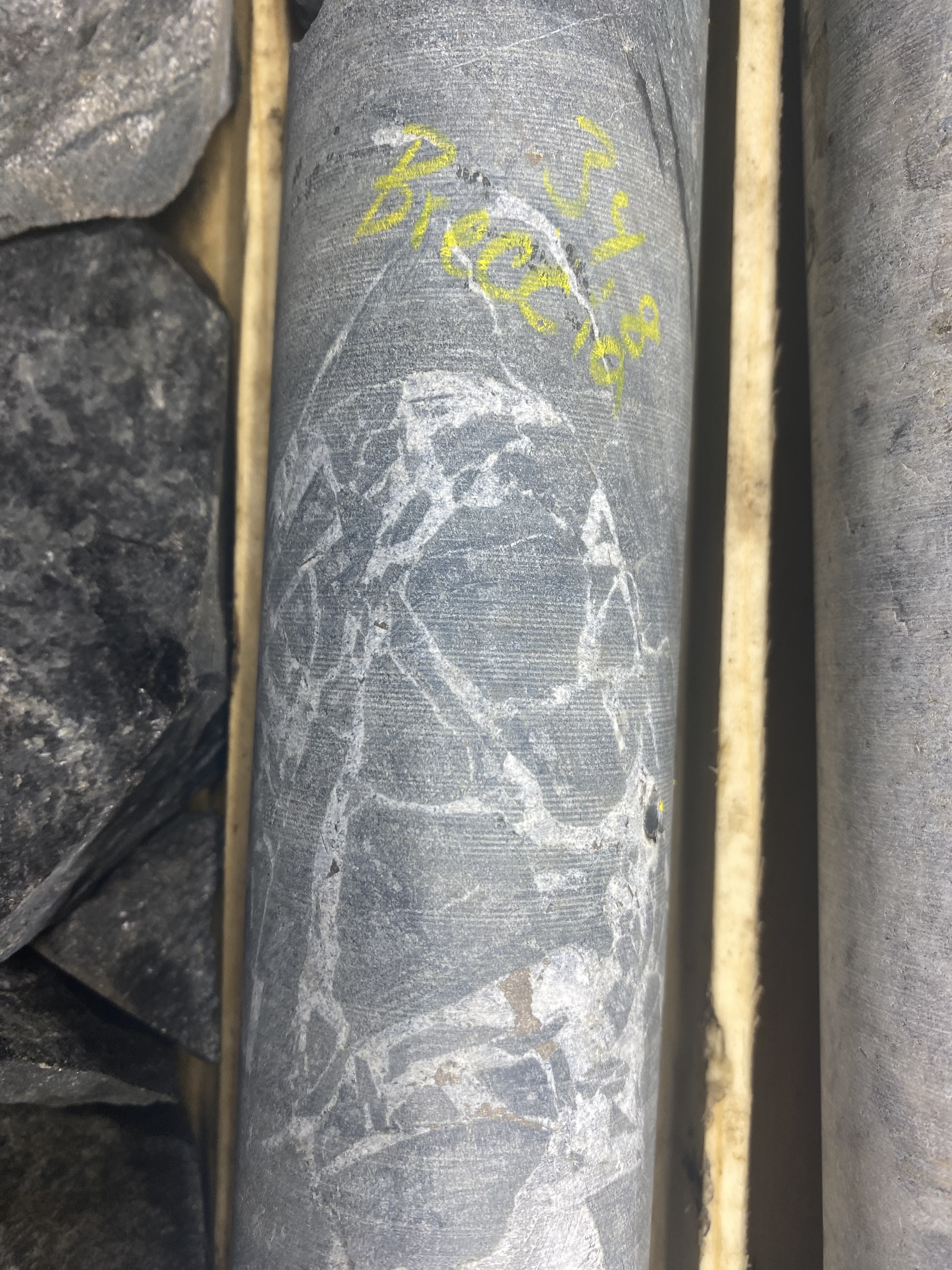 Image of a rock containing pyrite