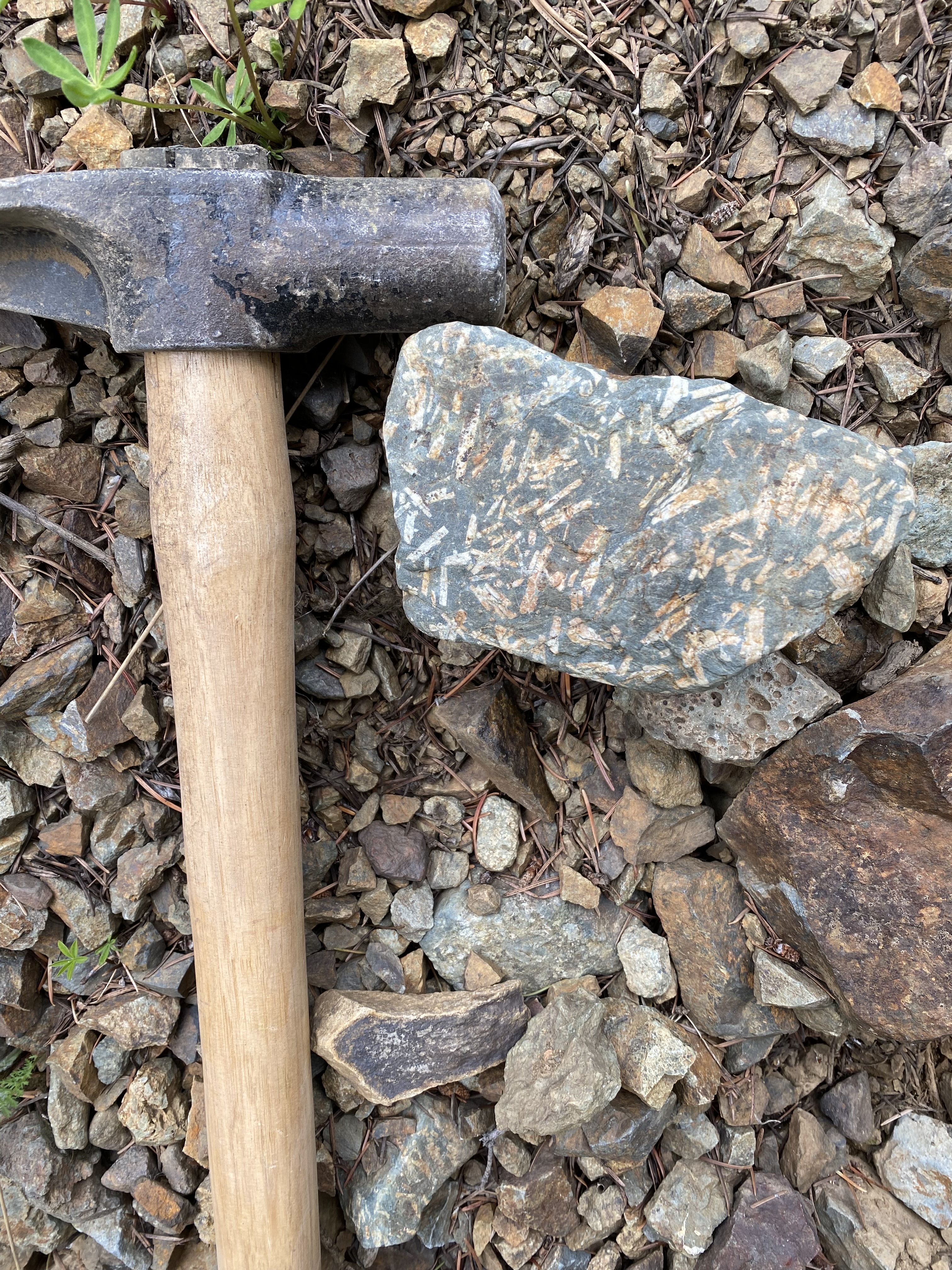 Image of a rock containing pyrite