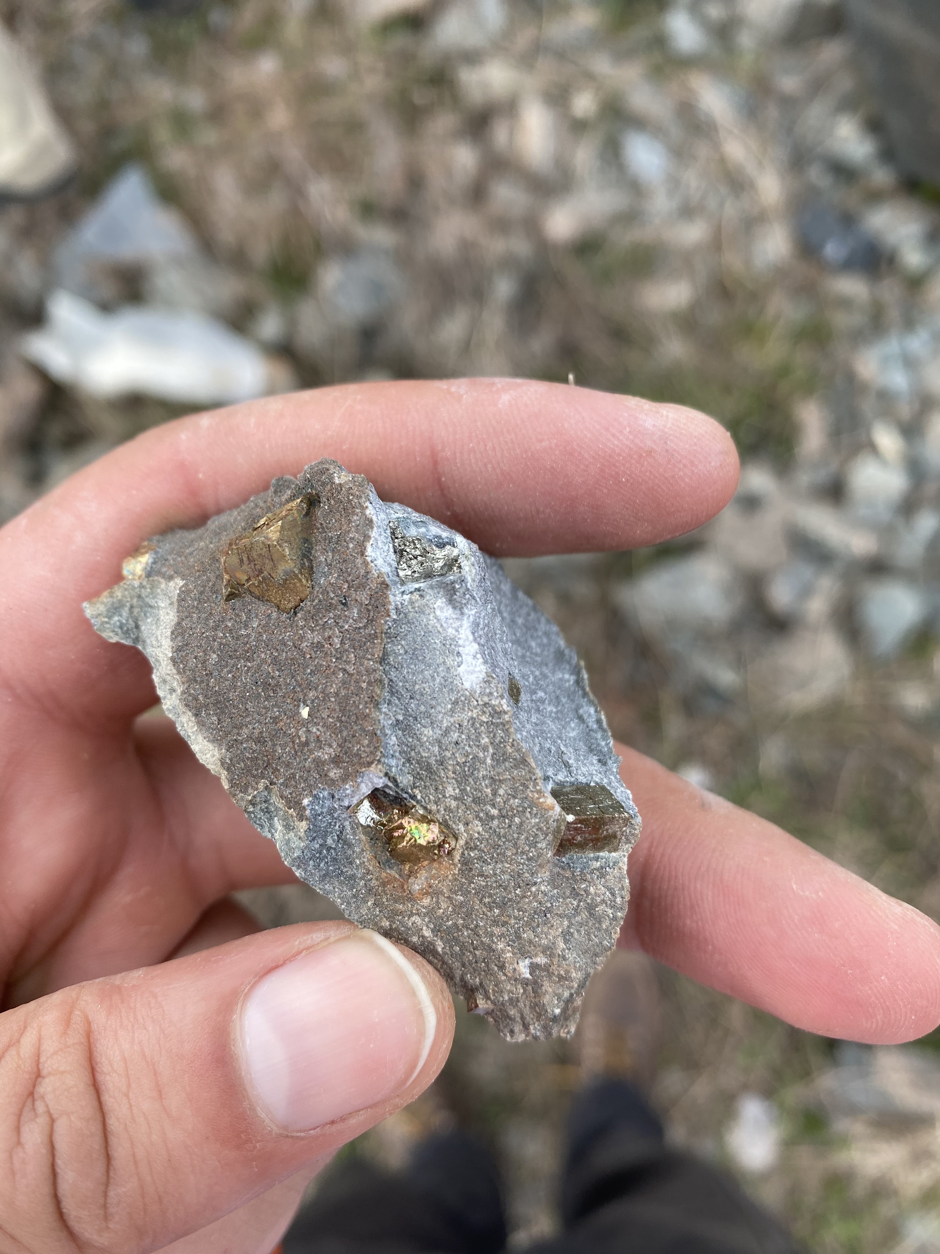 Image of a rock containing pyrite